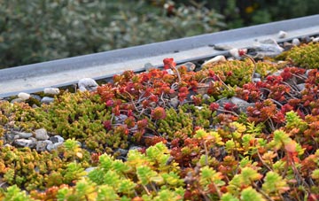 the cost of Wibsey green roof installation