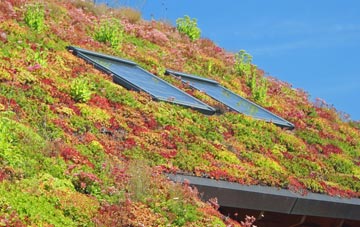 Wibsey living roof systems